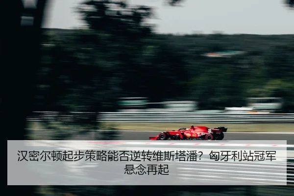 han-mi-er-dun-qi-bu-ce-lve-neng-fou-ni-zhuan-wei-si-ta-pan-xiong-ya-li-zhan-guan-jun-xuan-nian-zai-qi-2-243.jpg