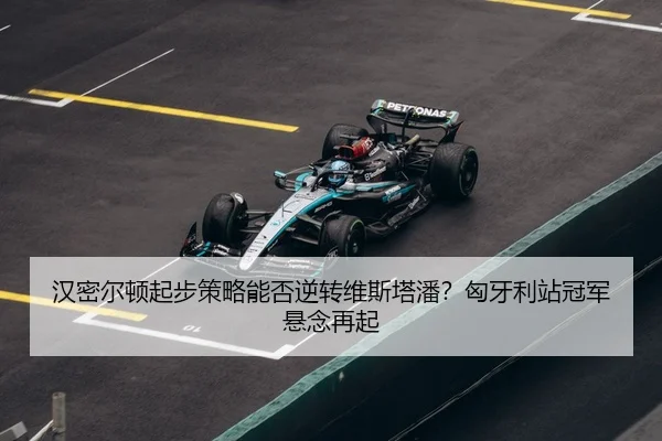 han-mi-er-dun-qi-bu-ce-lve-neng-fou-ni-zhuan-wei-si-ta-pan-xiong-ya-li-zhan-guan-jun-xuan-nian-zai-qi-3-180.jpg