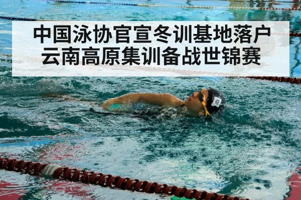 中国泳协官宣冬训基地落户云南高原集训备战世锦赛